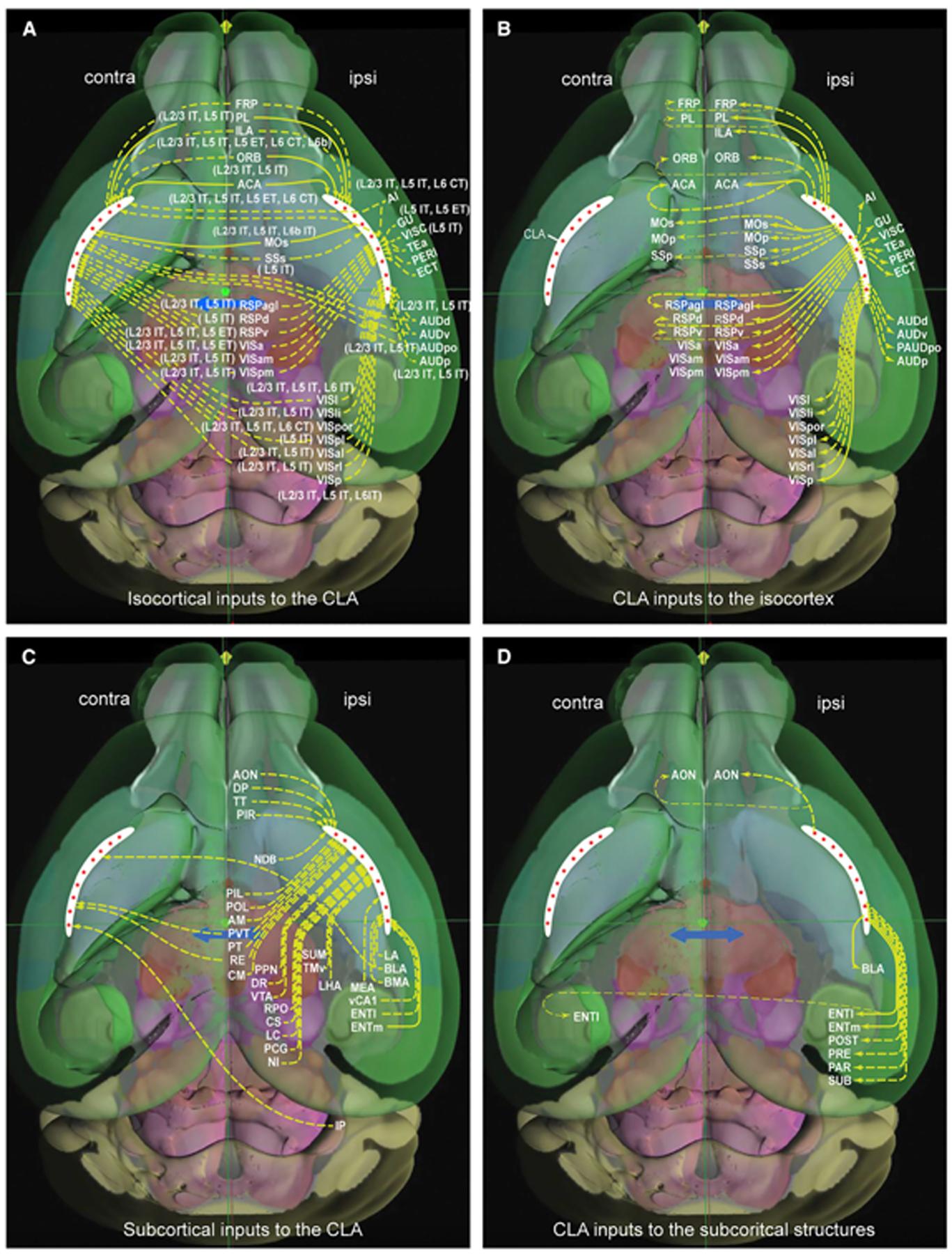 https://cdn.ncbi.nlm.nih.gov/pmc/blobs/c6fe/10415534/03c0288cd078/nihms-1878894-f0008.jpg