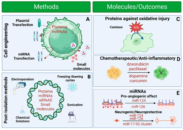 https://cdn.ncbi.nlm.nih.gov/pmc/blobs/c6ff/10537154/f88edf8c6b80/pharmaceutics-15-02173-g008.jpg