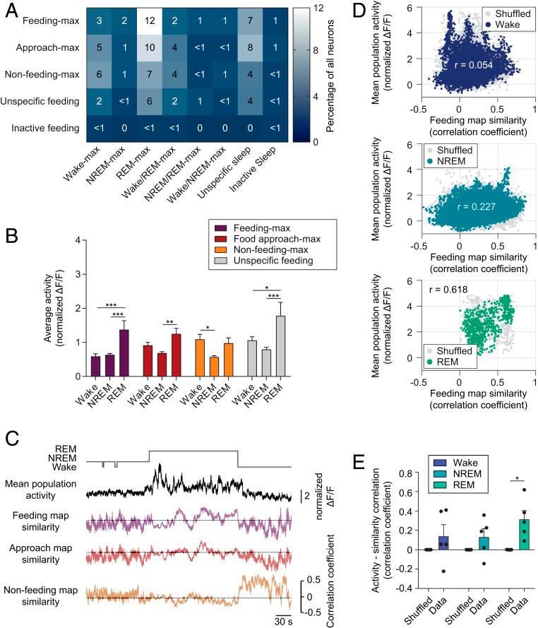 https://cdn.ncbi.nlm.nih.gov/pmc/blobs/c71e/7430996/8eb24f6bf31c/pnas.1921909117fig04.jpg