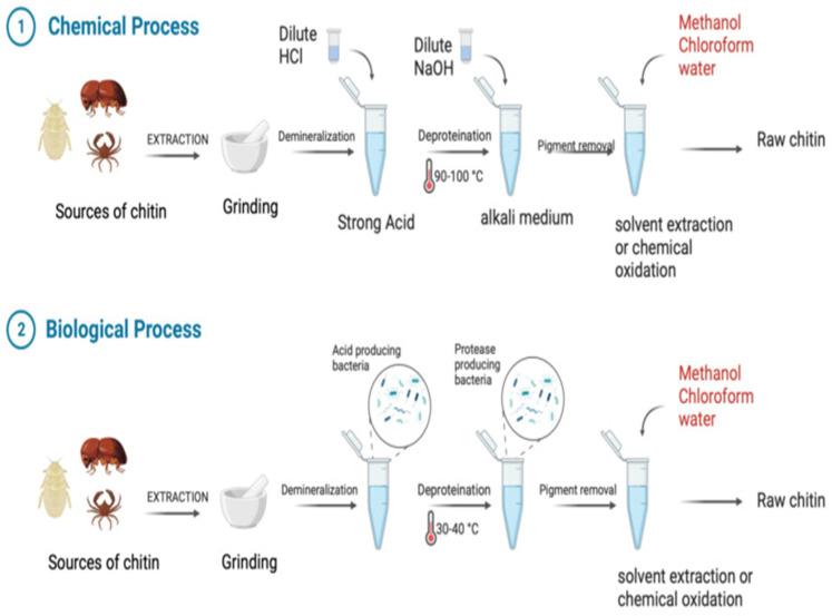 https://cdn.ncbi.nlm.nih.gov/pmc/blobs/c724/11946192/439be1b8c96c/molecules-30-01297-g003.jpg