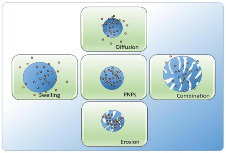 https://cdn.ncbi.nlm.nih.gov/pmc/blobs/c724/11946192/8aba2809ca0c/molecules-30-01297-g032.jpg