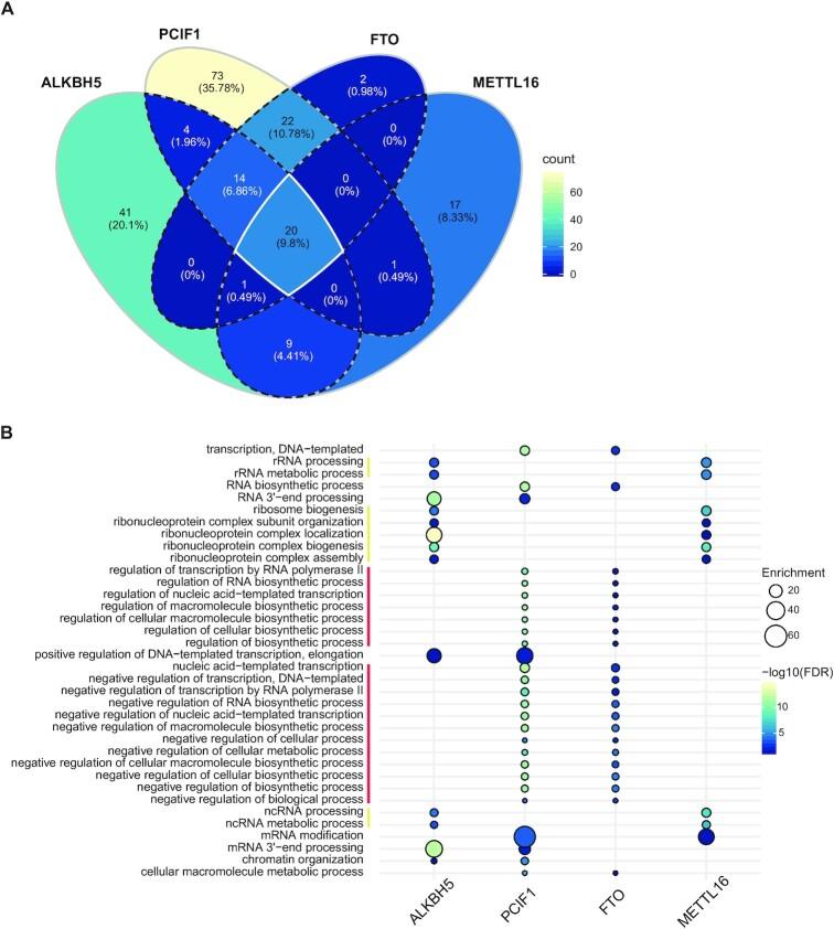 https://cdn.ncbi.nlm.nih.gov/pmc/blobs/c734/8565353/7e5ca39e7433/gkab900fig6.jpg
