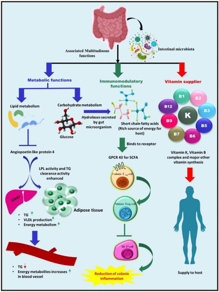 https://cdn.ncbi.nlm.nih.gov/pmc/blobs/c735/9692419/e089816cf13a/metabolites-12-01064-g001.jpg