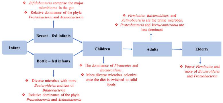 https://cdn.ncbi.nlm.nih.gov/pmc/blobs/c735/9692419/e5f01bdc6941/metabolites-12-01064-g005.jpg