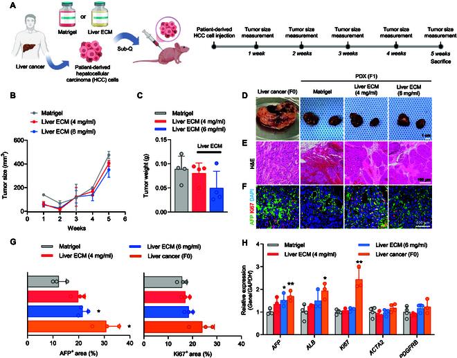 https://cdn.ncbi.nlm.nih.gov/pmc/blobs/c73d/12369845/7ec52b2936ac/bmr.0242.fig.002.jpg