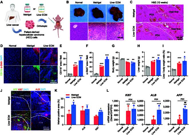 https://cdn.ncbi.nlm.nih.gov/pmc/blobs/c73d/12369845/a37b2b03a9d2/bmr.0242.fig.003.jpg