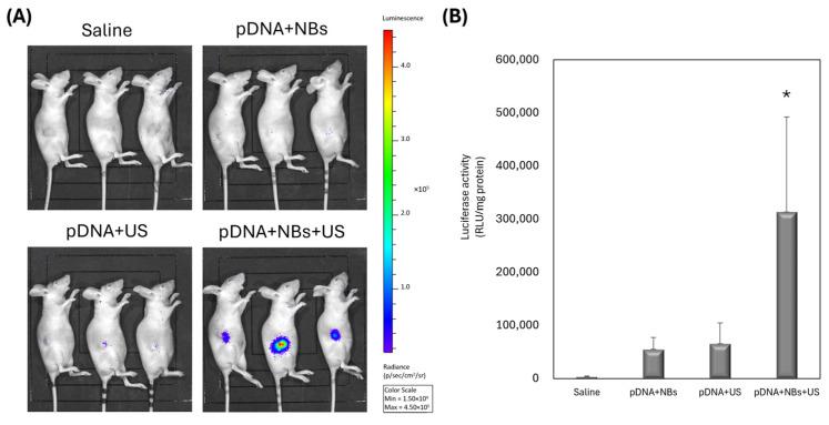https://cdn.ncbi.nlm.nih.gov/pmc/blobs/c746/12388912/00adba25da8f/pharmaceutics-17-01053-g003.jpg