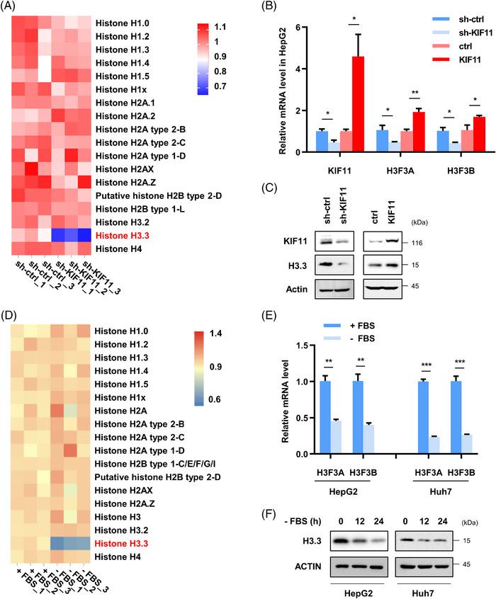 https://cdn.ncbi.nlm.nih.gov/pmc/blobs/c76e/10522973/ffa131de1ca3/CTM2-13-e1418-g006.jpg
