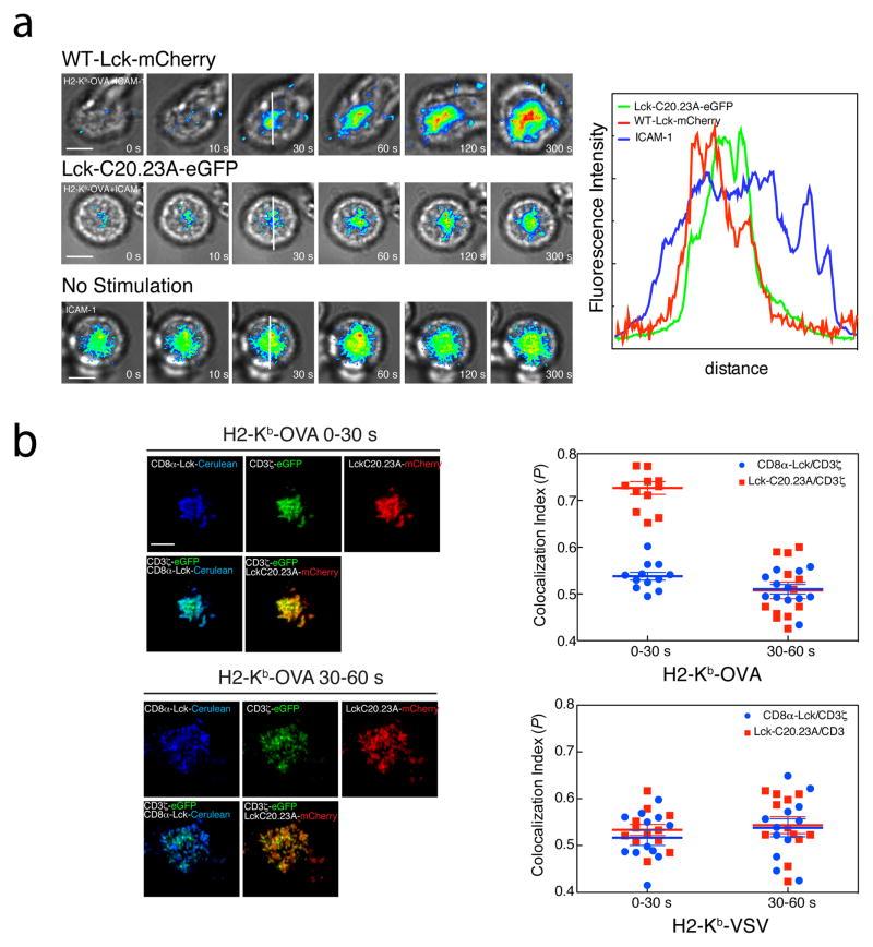 https://cdn.ncbi.nlm.nih.gov/pmc/blobs/c778/4248239/8ec1e08cefd3/nihms636809f8.jpg
