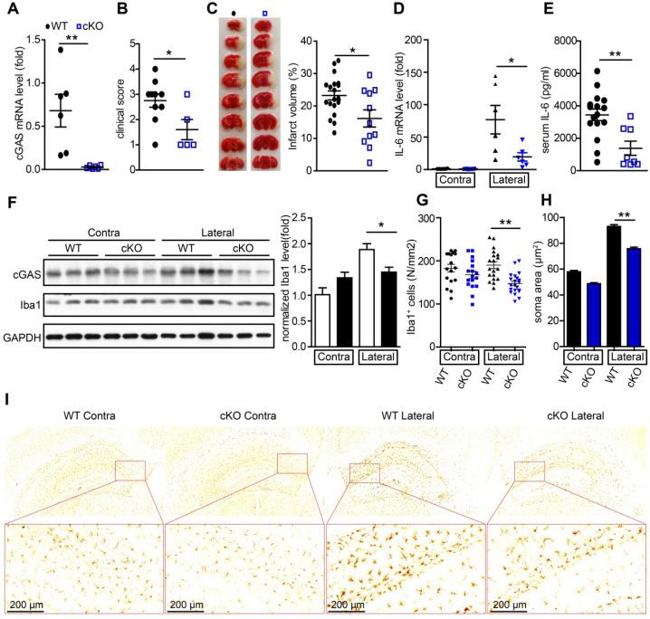 https://cdn.ncbi.nlm.nih.gov/pmc/blobs/c77b/7449914/4f020465f281/thnov10p9644g003.jpg