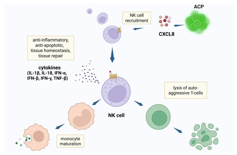 https://cdn.ncbi.nlm.nih.gov/pmc/blobs/c7cf/12346536/a5cc50a35482/cells-14-01163-g001.jpg