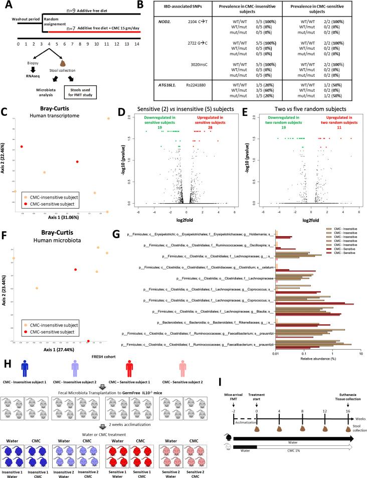 https://cdn.ncbi.nlm.nih.gov/pmc/blobs/c7df/10829520/1ed20da12064/figs1.jpg