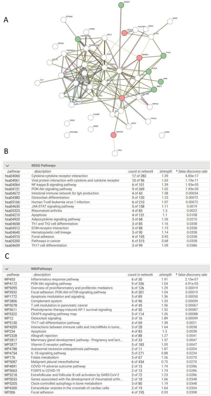 https://cdn.ncbi.nlm.nih.gov/pmc/blobs/c7e3/11475272/1f8db280682e/cells-13-01613-g003.jpg