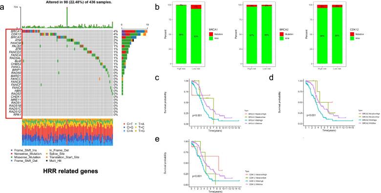 https://cdn.ncbi.nlm.nih.gov/pmc/blobs/c846/8772079/a7f70d3b9904/13048_2022_944_Fig10_HTML.jpg