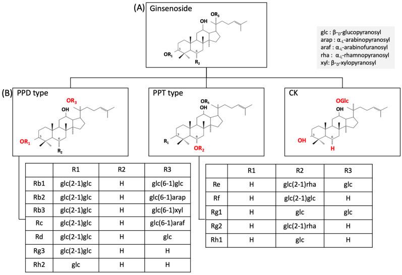 https://cdn.ncbi.nlm.nih.gov/pmc/blobs/c853/11172997/e06ce1681c98/ijms-25-05828-g003.jpg