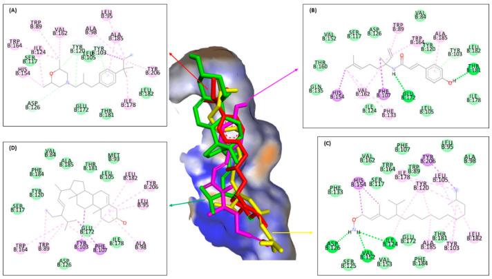 https://cdn.ncbi.nlm.nih.gov/pmc/blobs/c878/10708292/1f7a98eec433/molecules-28-07705-g007.jpg