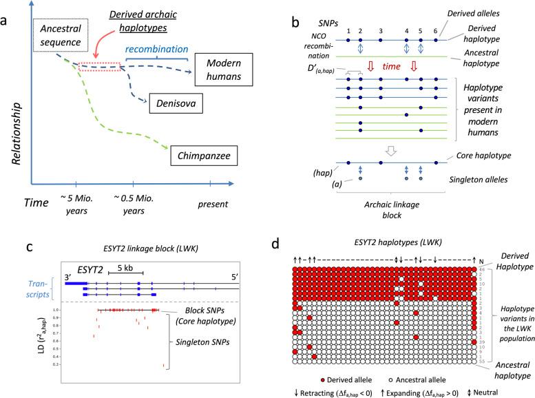https://cdn.ncbi.nlm.nih.gov/pmc/blobs/c87b/9354366/9e935228e68b/12915_2022_1353_Fig1_HTML.jpg