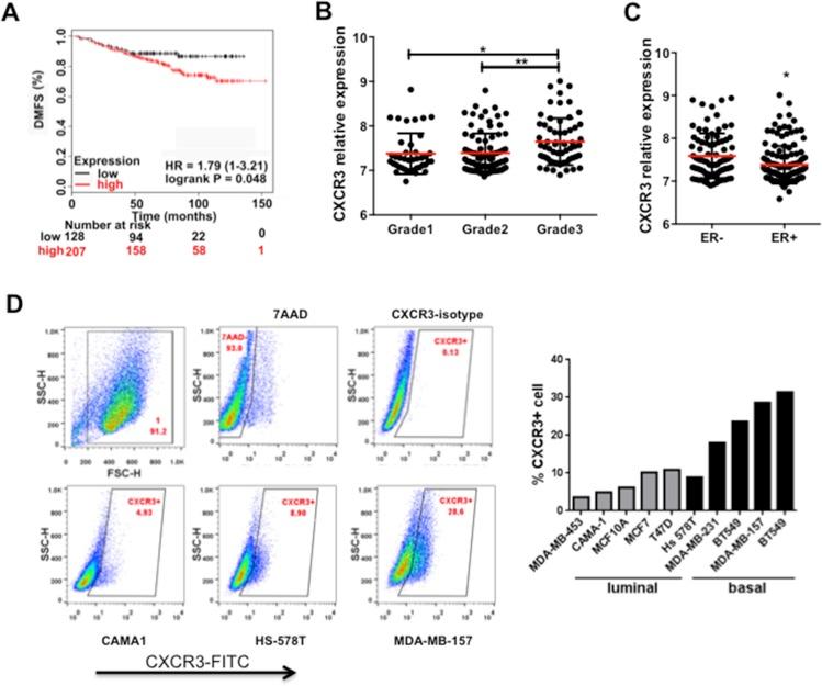 https://cdn.ncbi.nlm.nih.gov/pmc/blobs/c87d/4791240/05c89b25a577/oncotarget-06-43408-g004.jpg