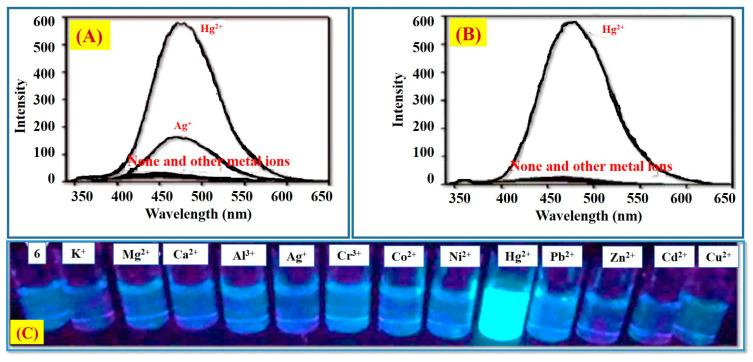 https://cdn.ncbi.nlm.nih.gov/pmc/blobs/c883/11990538/18399ac51911/molecules-30-01450-g002.jpg