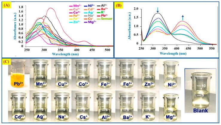 https://cdn.ncbi.nlm.nih.gov/pmc/blobs/c883/11990538/6d70869fa325/molecules-30-01450-g005.jpg