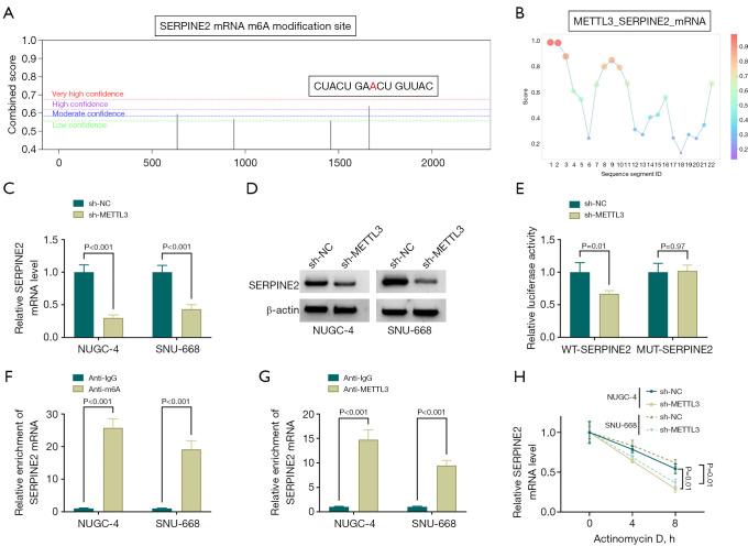 https://cdn.ncbi.nlm.nih.gov/pmc/blobs/c89a/11833417/5498e2c785a7/tcr-14-01-78-f4.jpg