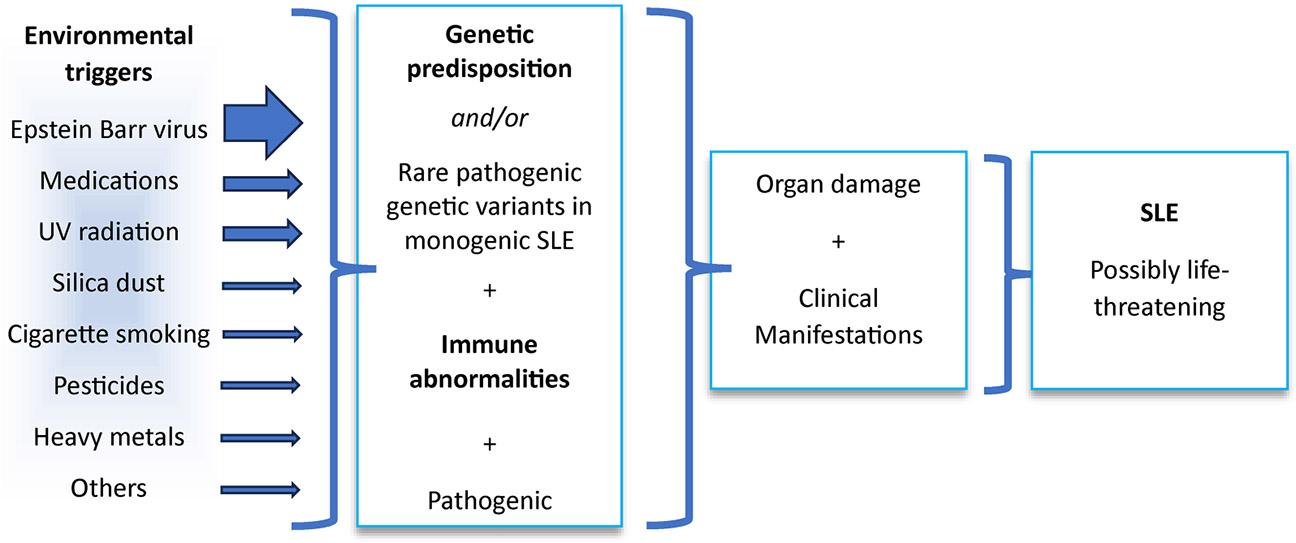 https://cdn.ncbi.nlm.nih.gov/pmc/blobs/c8af/11609870/9c053dfe6ad2/nihms-2037203-f0005.jpg