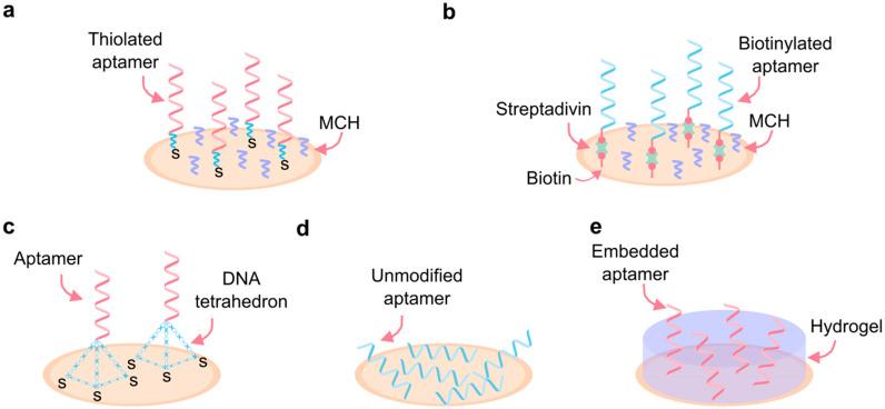 https://cdn.ncbi.nlm.nih.gov/pmc/blobs/c8bd/12109747/25ebb6462420/biosensors-15-00277-g006.jpg