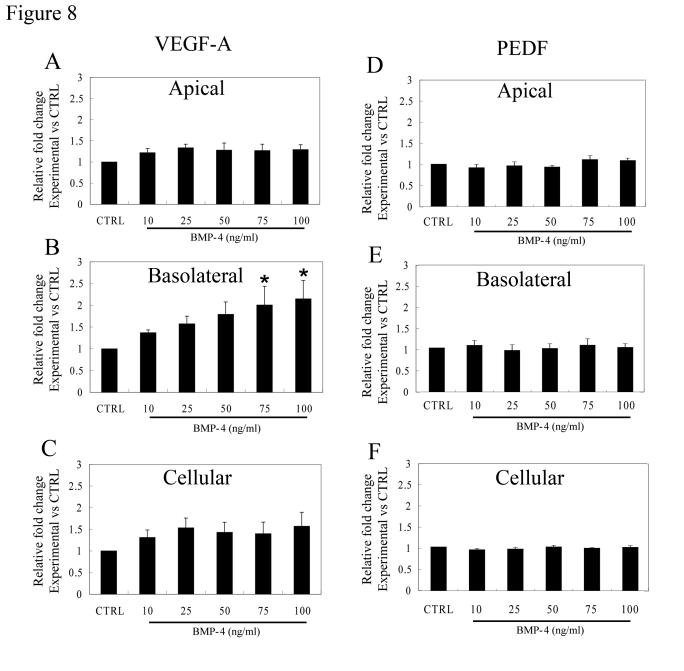 https://cdn.ncbi.nlm.nih.gov/pmc/blobs/c8df/2837203/0545dd262033/aging-02-028-g008.jpg