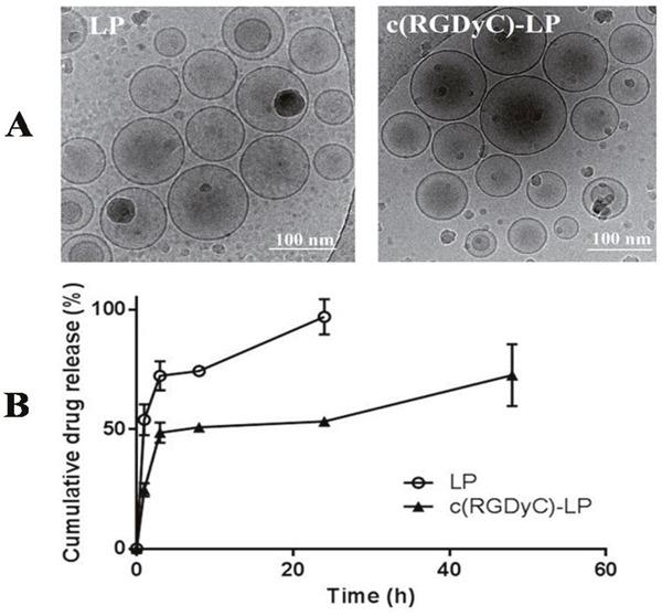 https://cdn.ncbi.nlm.nih.gov/pmc/blobs/c8e8/5482681/dee72e84c915/oncotarget-08-36614-g001.jpg