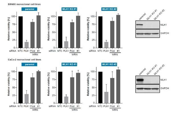 https://cdn.ncbi.nlm.nih.gov/pmc/blobs/c8eb/6435321/60b73e2ca340/elife-43333-resp-fig1.jpg