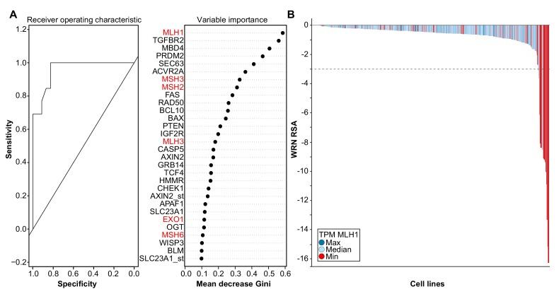 https://cdn.ncbi.nlm.nih.gov/pmc/blobs/c8eb/6435321/fd84326ab9c6/elife-43333-fig1-figsupp1.jpg