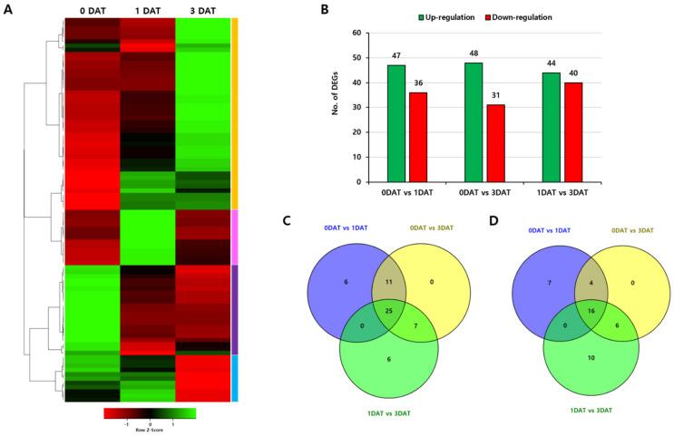 https://cdn.ncbi.nlm.nih.gov/pmc/blobs/c8eb/8584879/9e1e0be6b838/ijms-22-12088-g005.jpg
