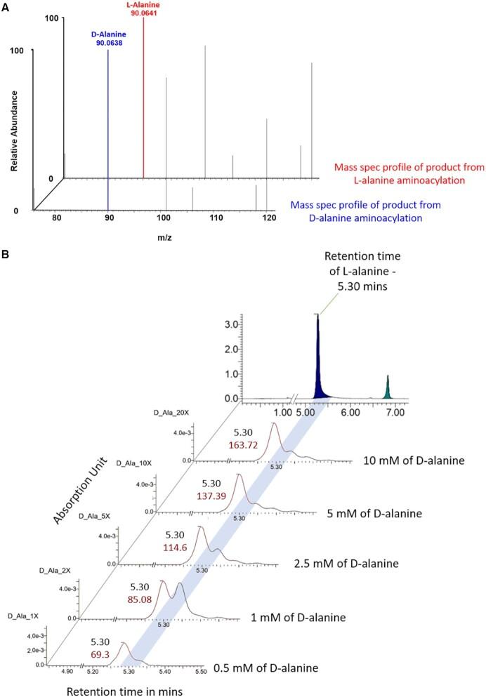 https://cdn.ncbi.nlm.nih.gov/pmc/blobs/c935/10123102/3ac26082355b/gkad205fig6.jpg