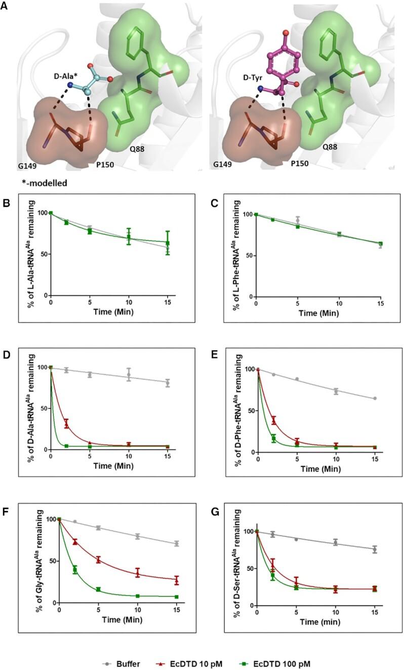 https://cdn.ncbi.nlm.nih.gov/pmc/blobs/c935/10123102/b0a05ca102d0/gkad205fig2.jpg