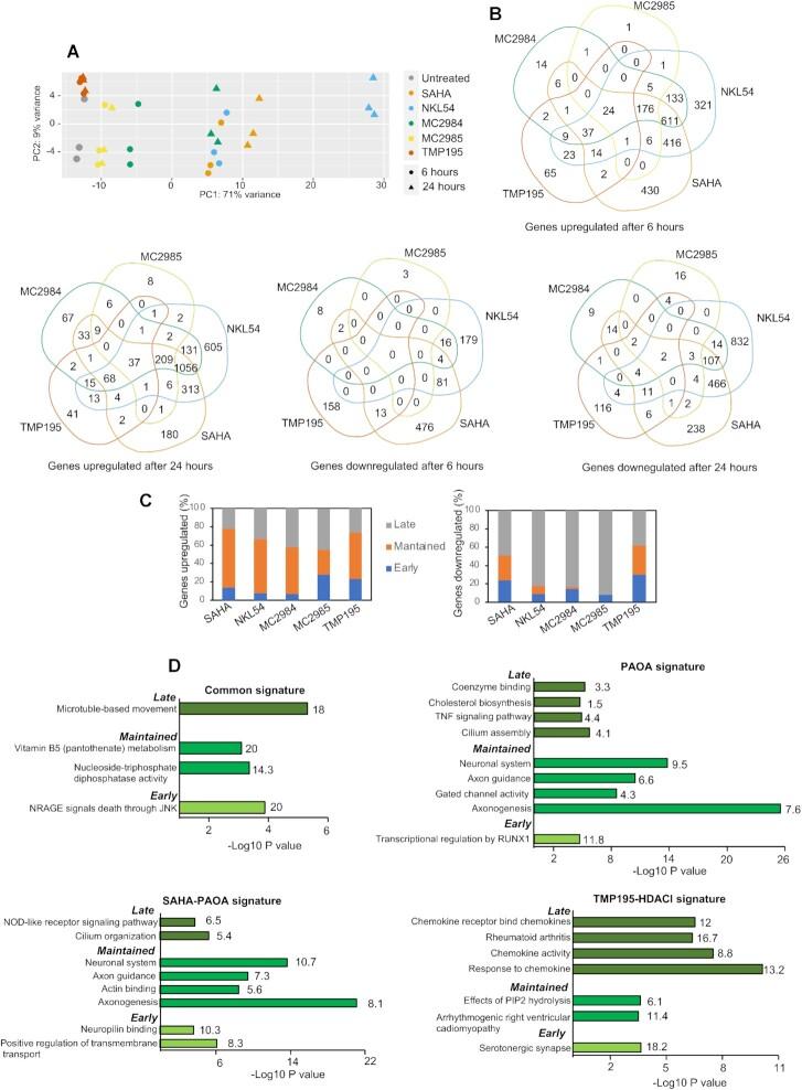 https://cdn.ncbi.nlm.nih.gov/pmc/blobs/c948/8934631/0b2b67055971/gkac081fig4.jpg