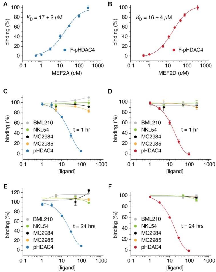 https://cdn.ncbi.nlm.nih.gov/pmc/blobs/c948/8934631/3fadb42bd3b1/gkac081fig2.jpg