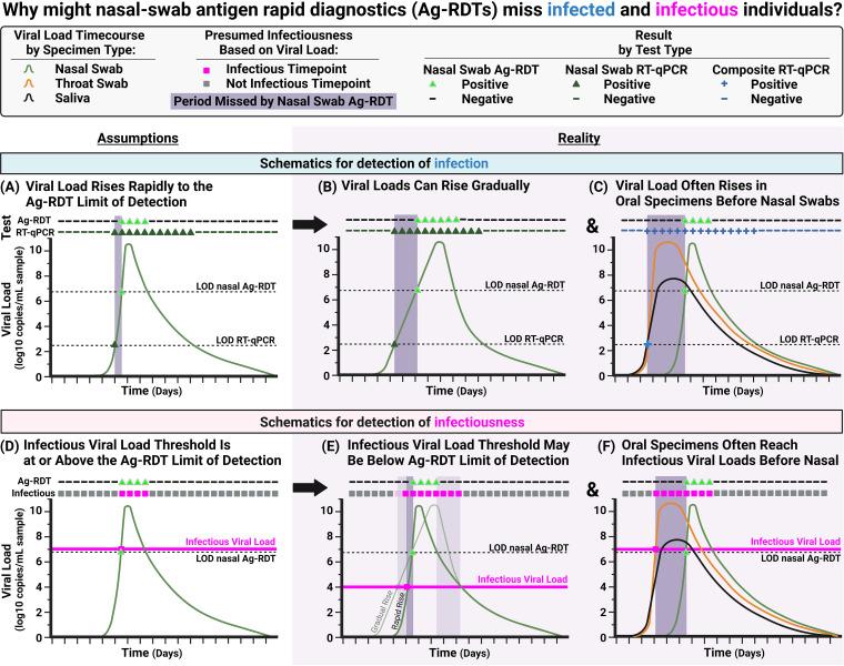 https://cdn.ncbi.nlm.nih.gov/pmc/blobs/c94f/10434058/a9a100230494/spectrum.01295-23-f007.jpg