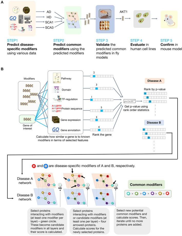 https://cdn.ncbi.nlm.nih.gov/pmc/blobs/c975/10698508/9bb2309f88e9/MSB-19-e11801-g005.jpg