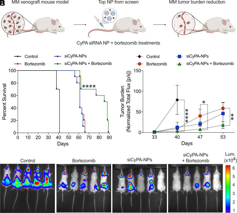 https://cdn.ncbi.nlm.nih.gov/pmc/blobs/c97f/10288566/89bcedc3ed7b/pnas.2215711120fig04.jpg