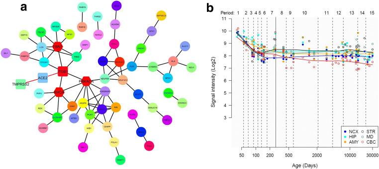 https://cdn.ncbi.nlm.nih.gov/pmc/blobs/c989/7444681/0ec06be608a7/13365_2020_895_Fig6_HTML.jpg