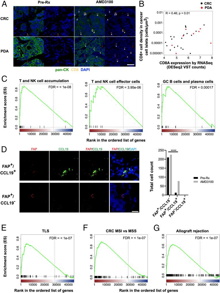 https://cdn.ncbi.nlm.nih.gov/pmc/blobs/c98b/7682333/b513fc9cc232/pnas.2013644117fig04.jpg
