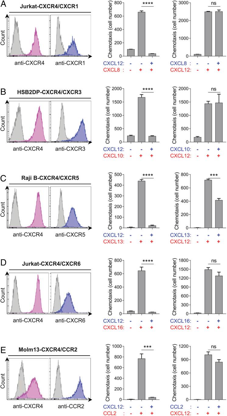 https://cdn.ncbi.nlm.nih.gov/pmc/blobs/c98b/7682333/ed5ec11978dc/pnas.2013644117fig02.jpg