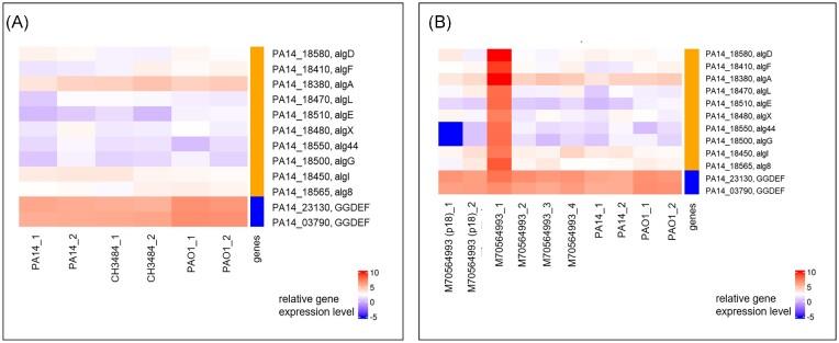 https://cdn.ncbi.nlm.nih.gov/pmc/blobs/c99e/10411656/ef58334c8623/xtad012fig5.jpg