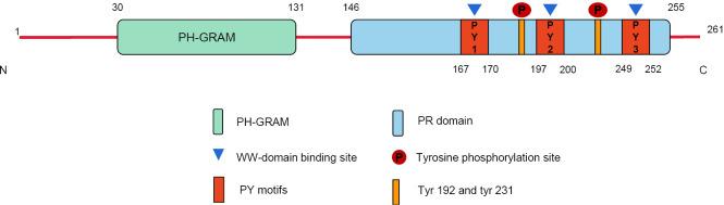 https://cdn.ncbi.nlm.nih.gov/pmc/blobs/c9b3/9841001/18f441b04c26/gs-11-12-1984-f1.jpg