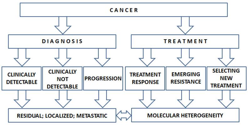 https://cdn.ncbi.nlm.nih.gov/pmc/blobs/c9c1/9776613/d7d69434669f/cancers-14-06115-g001.jpg
