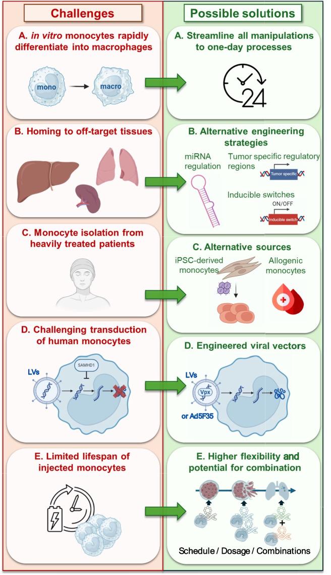 https://cdn.ncbi.nlm.nih.gov/pmc/blobs/c9cc/11909881/e4d213d5f8e2/13046_2025_3359_Fig3_HTML.jpg