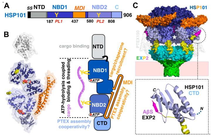 https://cdn.ncbi.nlm.nih.gov/pmc/blobs/ca09/7355975/58ee215556c5/microorganisms-08-00865-g005.jpg