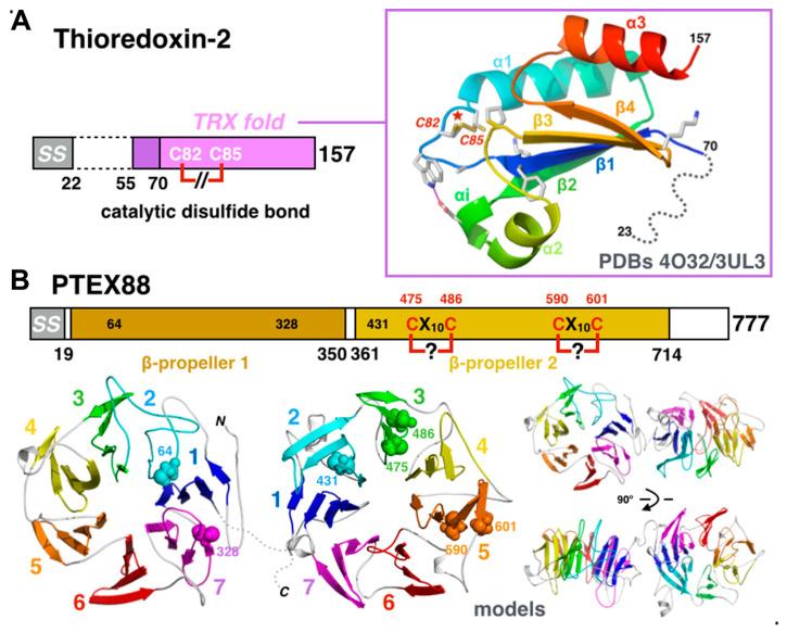 https://cdn.ncbi.nlm.nih.gov/pmc/blobs/ca09/7355975/7df54f948920/microorganisms-08-00865-g008.jpg