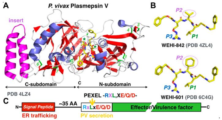 https://cdn.ncbi.nlm.nih.gov/pmc/blobs/ca09/7355975/b0235bc98a31/microorganisms-08-00865-g009.jpg