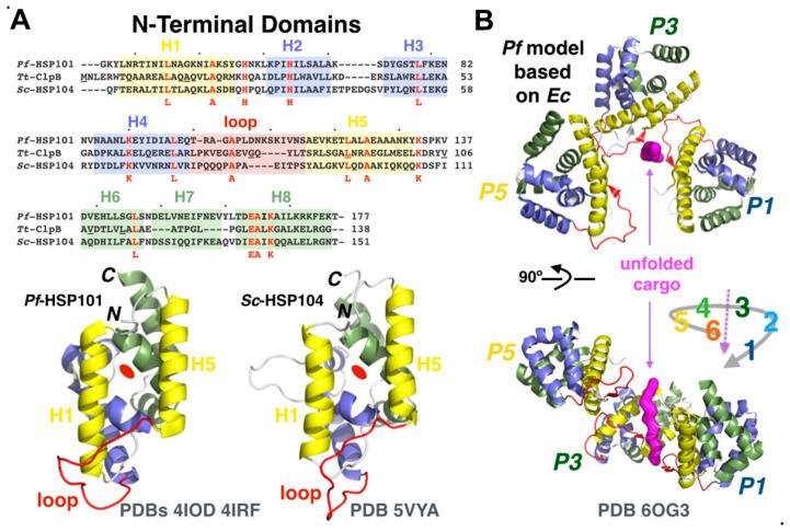 https://cdn.ncbi.nlm.nih.gov/pmc/blobs/ca09/7355975/feee0bf7b701/microorganisms-08-00865-g007.jpg